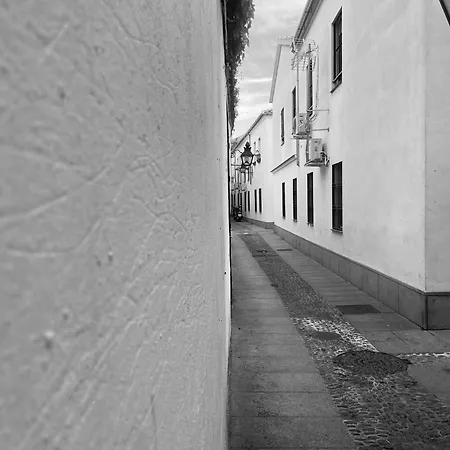 Fadrique Apartamento *